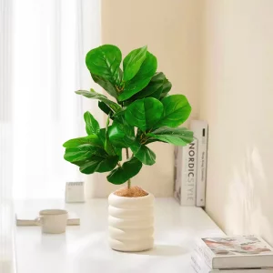 Faux ficus