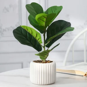 Ficus artificiel