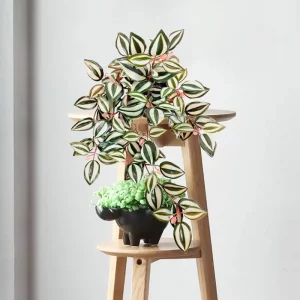 Plante suspendue artificielle