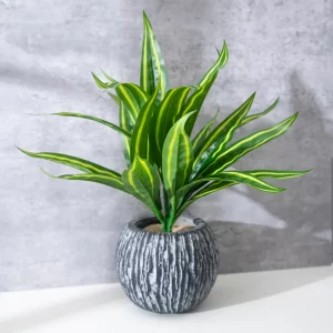 Fausse plante intérieur