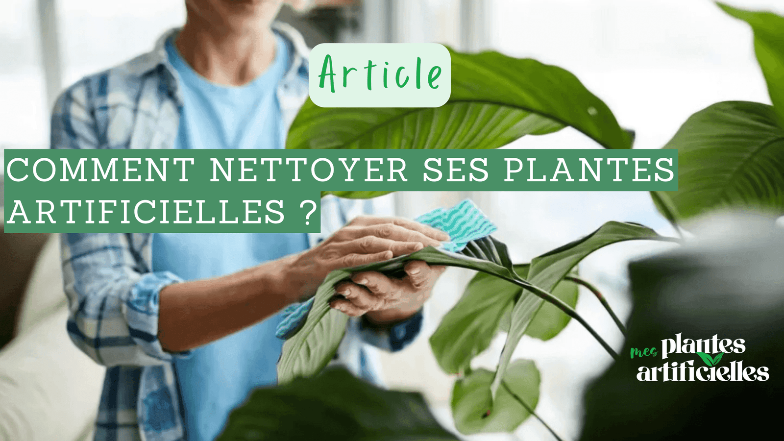 Comment nettoyer ses plantes artificielles ?