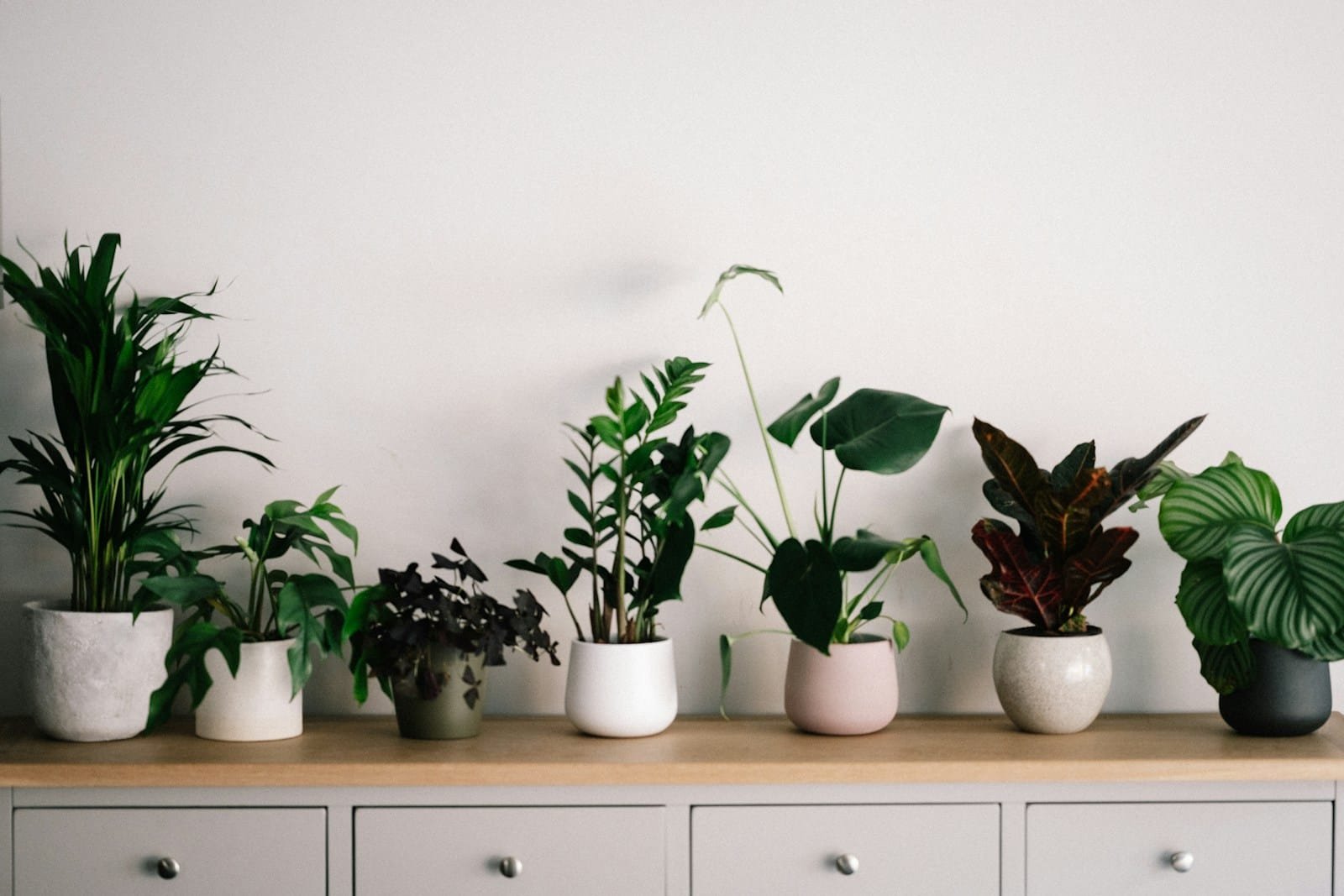 Pouquoi choisir des fleurs artificielles pour la décoration de sa maison ?