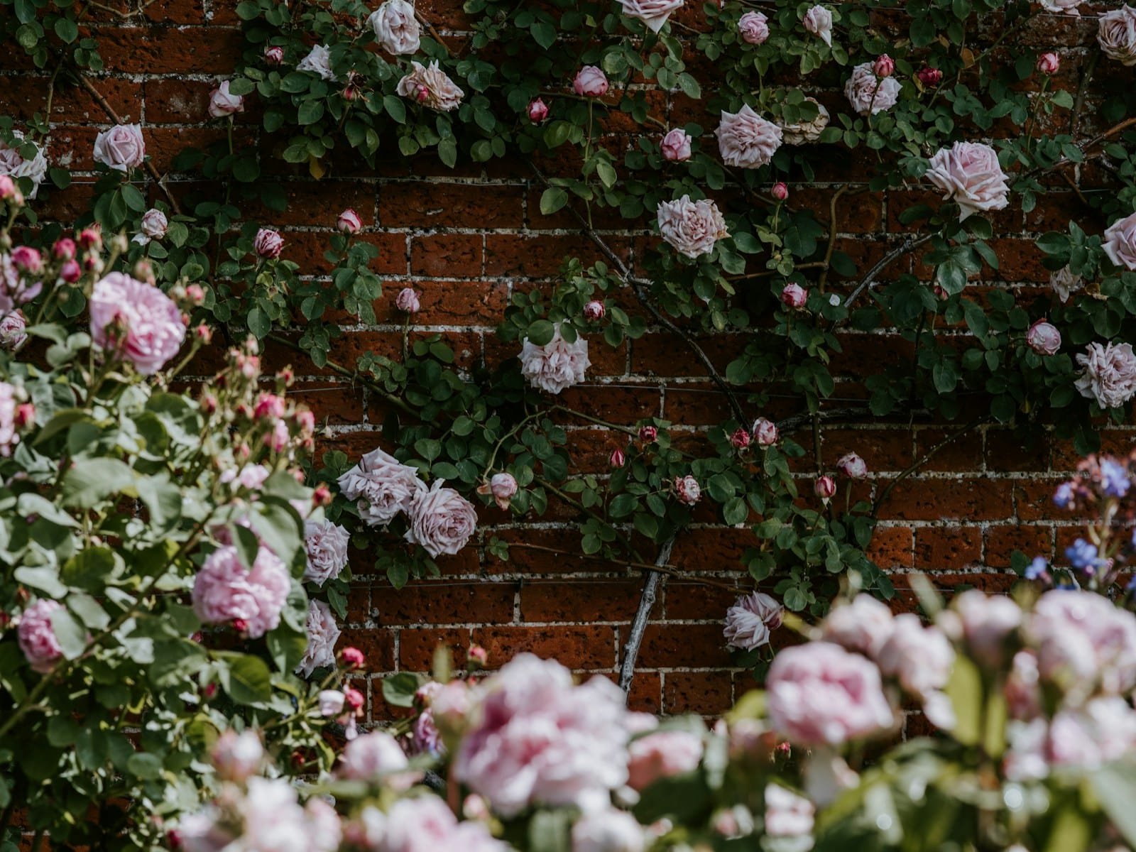 Comment créer un mur de fleurs artificielles ?