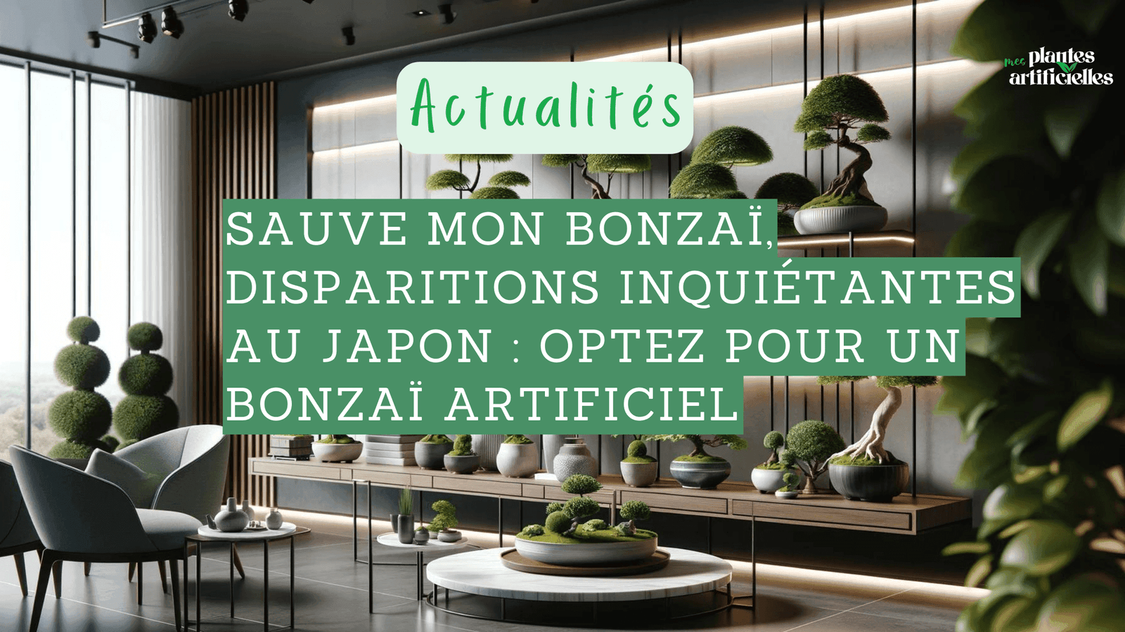 Sauve mon bonzaï, disparitions inquiétantes au Japon : optez pour un bonzaï artificiel 1 bonzaï artificiel de collection
