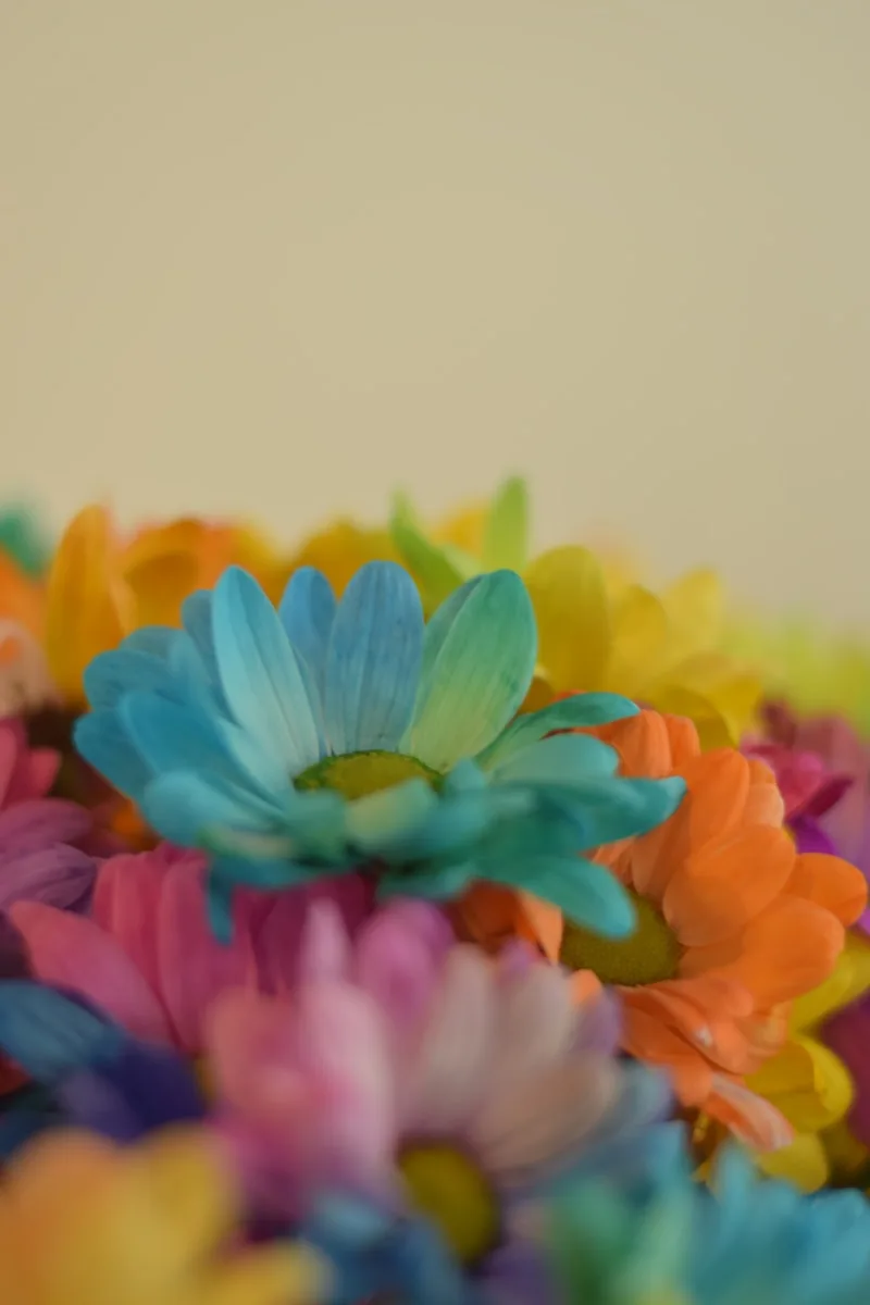 Quels types de fleurs artificielles pas cher choisir ? Notre top 5 4 fleurs-artificielles-pas-cher-conclusion