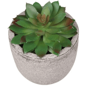 Fausse petite plante mini succulente Agave artificielle