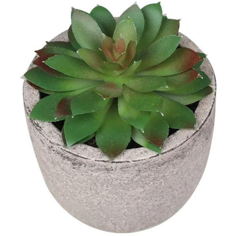 Fausse petite plante mini succulente Agave artificielle