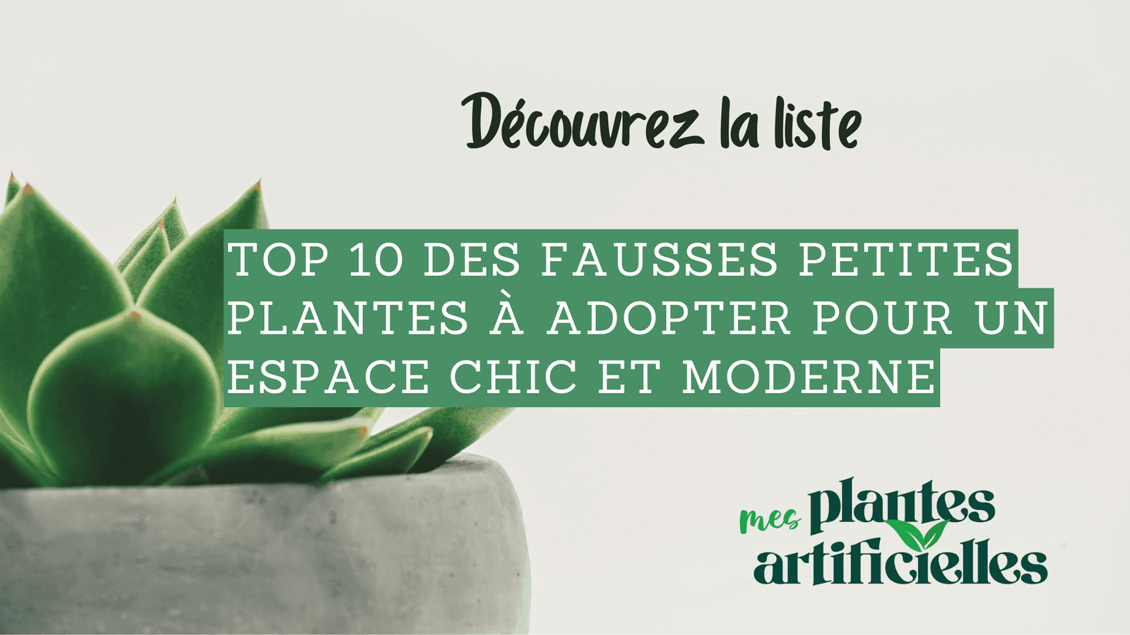 Top 10 des fausses petites plantes à adopter pour un espace chic et moderne, exemple avec une petite succulente artificielle dans un pot en béton