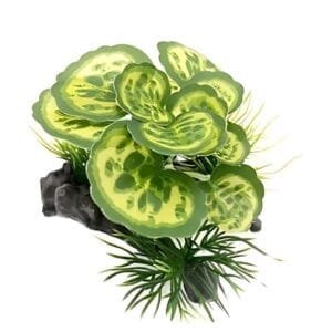 Plante artificielle d'aquarium vert clair très jolie