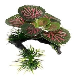 Plante artificielle d'aquarium vert rouge très jolie